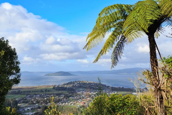 Uma Vista Dos Subúrbios Rotorua Nova Zelândia Lago Ngongotaha Primeiro — Fotografia de Stock