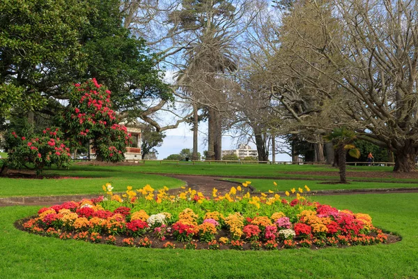 Auckland Domain park, Auckland, New Zealand, in early spring. A circular bed of vividly covered flowers, surrounded by trees. The band rotunda is just visible behind the blooming rhododendron — Stock Image Auckland Domain Park Auckland New Zealand Early Spring Circular Bed Royalty Free Stock Images