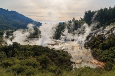 Orakei Korako jeotermal bölgesinin panoramik görüntüsü, Yeni Zelanda. Kaplıcalardan ve silis teraslarından buhar akıyor.