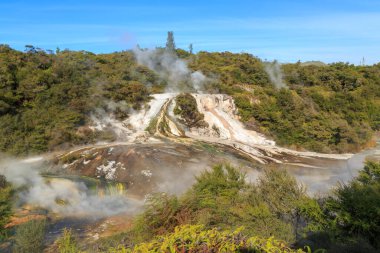 Orakei Korako jeotermal alanı, Yeni Zelanda 'nın Taupo Volkanik Bölgesi' nde bir turist merkezi. Kaplıcalardan ve sinter teraslarından buhar yükseliyor. 