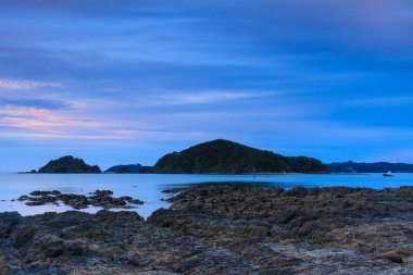 Akşam Paihia, Yeni Zelanda plajından bir manzara. Ormanlı Motumaire Adası alaca karanlık gökyüzüne karşı