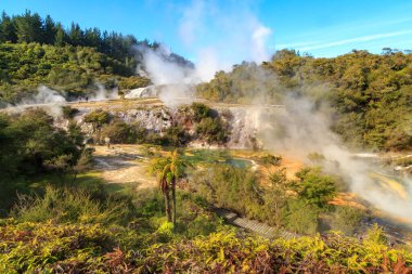 Yeni Zelanda 'nın Taupo Volkanik Bölgesi' ndeki Orakei Korako Jeotermal Parkı. Parkın renkli mineral teraslarından buhar yükseliyor