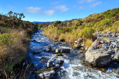 Soğuk Mangatoetoenui Akıntısı, kayalara yapışan buzlarla, Yeni Zelanda 'daki Kuzey Adası Volkanik Platosu' nun bitki örtüsünün içinden akıyor.