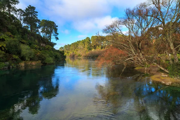 Řeka Waikato Nový Zéland Podzim Poblíž Jezera Taupo Jeho Pramen — Stock fotografie