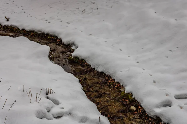 Pequena Fonte Água Fazendo Caminho Através Campo Nevado — Fotografia de Stock