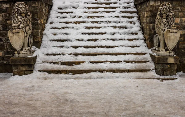 Treppe Voller Schnee Eingang Der Burg Peles Sinaia Rumänien — Stockfoto