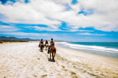 Cabo San Lucas, Meksika - 2019. Sahilde Cabo San Lucas, Baja California turist binicilik.