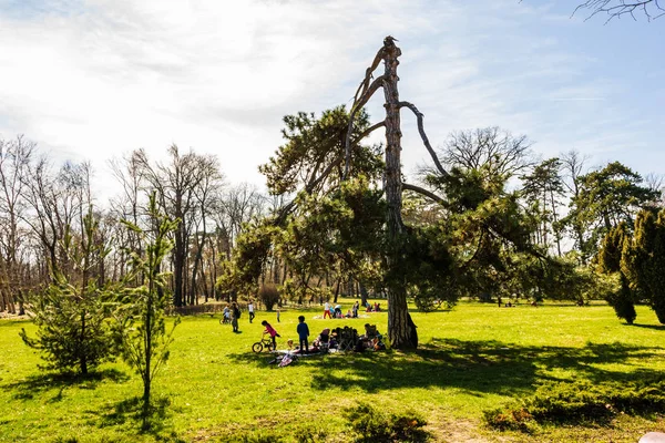 Bucharest, Roemenië-2019. Mensen hebben picnic en spelen in Hong openbaar park. — Stockfoto