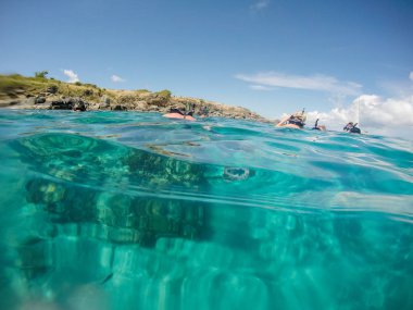 Buck Adası, Karayipler - 2019. İnsanlar Karayip Denizi 'nde Buck Adası' nda şnorkelle yüzüyor..