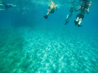 Buck Adası, Karayipler - 2019. İnsanlar Karayip Denizi 'nde Buck Adası' nda şnorkelle yüzüyor..