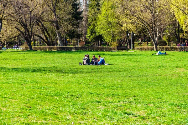 Targoviste, Rumunia - 2019. Grupa ludzi na trawie — Zdjęcie stockowe