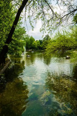 Bükreş, Romanya - 2019. Cismigiu Gard gölünde turistler