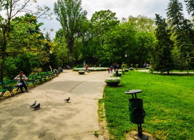 Bükreş, Romanya - 2019. Cis sokaklarında yürüyen turistler