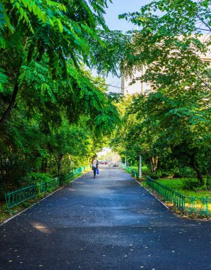 Bükreş, Romanya - 2019. Central'da bir sokakta yürüyen kadın 