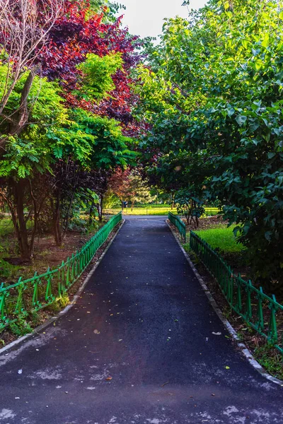 Callejón en un parque central en Bucarest capital de Rumania . — Foto de Stock