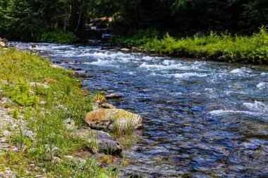 Iezer, Romanya dağlarında Rausor Barajı Deresi. Küçük st