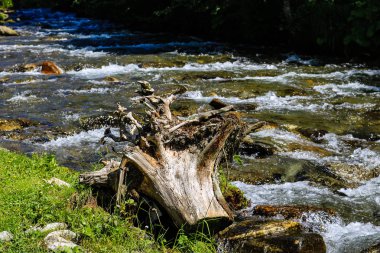 Iezer, Romanya dağlarında Rausor Barajı Deresi. Küçük st