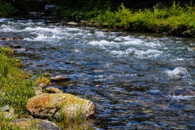 Iezer, Romanya dağlarında Rausor Barajı Deresi. Küçük st