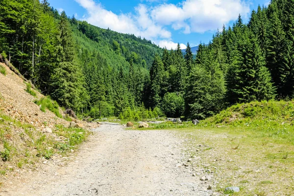 Paisaje de las montañas de Iezer en Rumania . — Foto de Stock