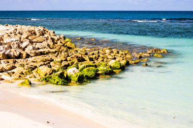 Labadee Adası, Haiti pastoral plaj. Egzotik vahşi tropikal bea