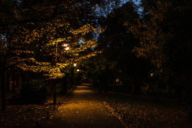 Leav ile Bükreş'te Cismigiu parkta bir sokakta Sonbahar sahnesi