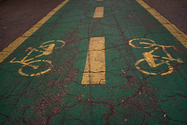 Bicycle sign on asphalt. Bicycle line in King Mihai I park (Hera — Stock Photo, Image