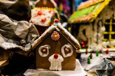 Arka planda bulanık bir Noel süsü var. Kızıl evler 