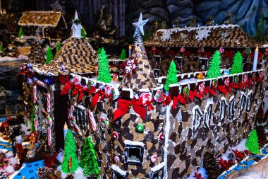 Arka planda bulanık bir Noel süsü var. Kızıl evler 