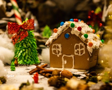 Arka planda bulanık bir Noel süsü var. Kızıl evler 