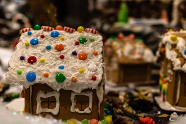 Arka planda bulanık bir Noel süsü var. Kızıl evler 