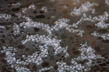 Selamlamaya yakın, küçük dolu toplarına odaklan.