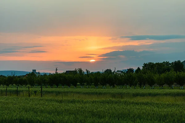 Hermosa Puesta Sol Sobre Campo Rural Cielo Colorido — Foto de Stock