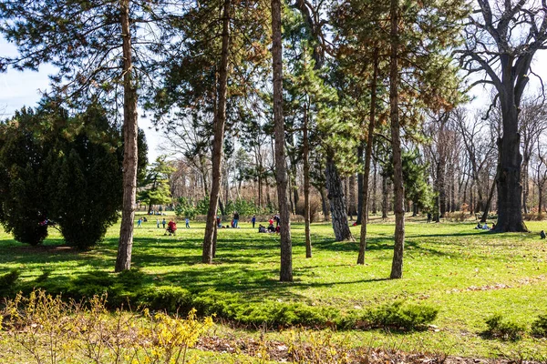 Mensen Wandelen Ontspannen Hebben Plezier Steegjes Van Het Park Tuinen — Stockfoto