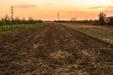 Güzel turuncu günbatımı gökyüzü tarımsal alanda.