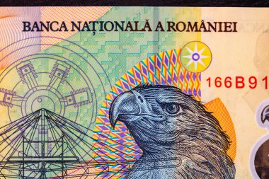 Ley banknotlarının detaylarına özen göster. Romanya lei banknotlarının makro detaylarını kapat, 50 lei izole edilmiş. Dünya para kavramı, enflasyon ve ekonomi kavramı