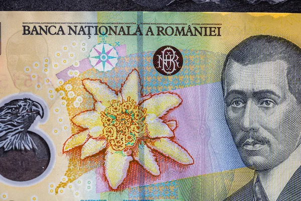 Selektywne Skupienie Się Szczegółach Banknotów Lei Zbliżenie Makro Szczegółów Rumuńskich — Zdjęcie stockowe