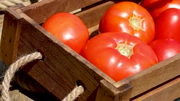 Ripe Fresh Juicy Tomatoes Lie Wooden Box Delicious Salad Red — Stock Video