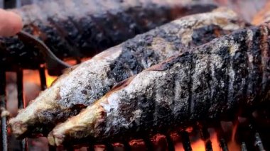 Mangal mangalı dumanlı ızgarada balık yakın..