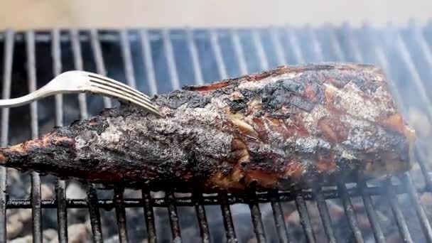 烧炭烧烤时 用烟把烤好的鱼排得紧紧的 — 图库视频影像