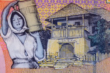 Ley banknotlarının detaylarına özen göster. Romanya lei banknotlarının makro detaylarını kapatın, 10 lei izole edilmiş. Dünya para kavramı, enflasyon ve ekonomi kavramı