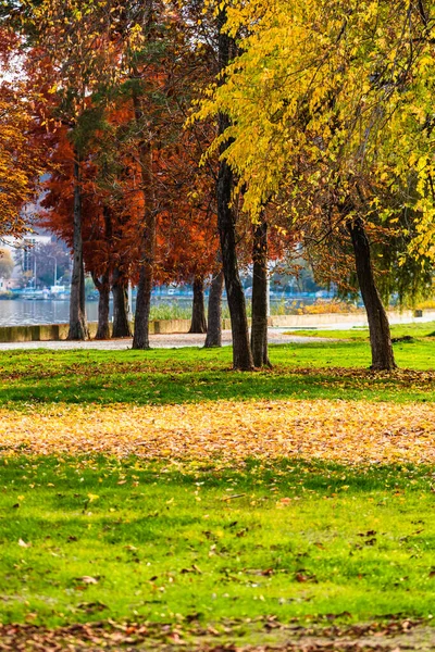 秋のカラフルな公園の路地に落ち葉と秋の季節 秋の公園ではカラフルな木々や落ち葉 晴れた日の美しい秋の道 — ストック写真