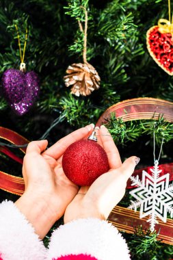 Noel ağacının önünde Noel süsü tutan eller. Noel süslemeleri ile köknar dallarını süslemek.