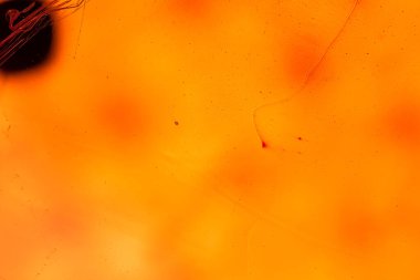 Su yüzeyinde yağ damlaları ve dalgaları olan soyut renkli arkaplan. Soyut arkaplan kavramı