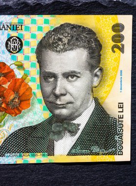 Ley banknotlarının detaylarına özen göster. Romanya lei banknotlarının makro detaylarını kapat, 200 lei izole edilmiş. Dünya para kavramı, enflasyon ve ekonomi kavramı