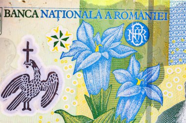 Ley banknotlarının detaylarına özen göster. Romanya lei banknotlarının makro detaylarını kapatın, 1 leu izole edilmiş. Dünya para kavramı, enflasyon ve ekonomi kavramı