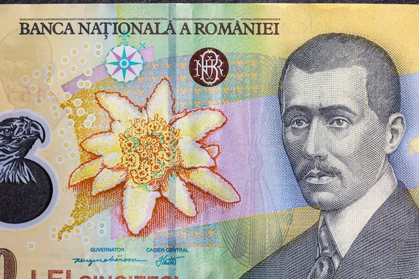 Selektywne Skupienie Się Szczegółach Banknotów Lei Zbliżenie Makro Szczegółów Rumuńskich — Zdjęcie stockowe