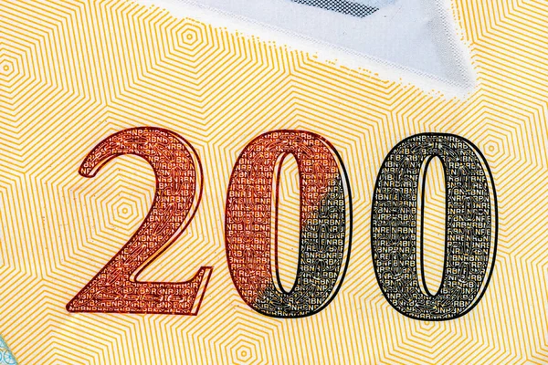 Selektywne Skupienie Się Szczegółach Banknotów Lei Zbliżenie Makro Szczegółów Rumuńskich — Zdjęcie stockowe