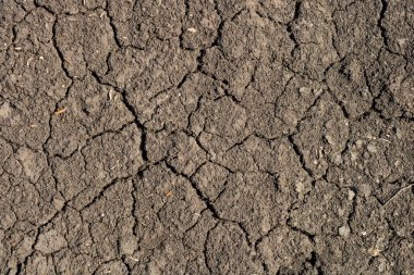 Küresel ısınma, yazın kuraklık. Kuru toprak arkaplanının koyu toprak dokusu yakın plan