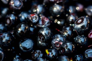 Taze yabanmersini. Taze toplanmış organik yaban mersini.