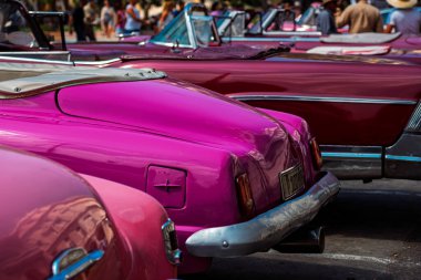 Havana, Küba 'da klasik Amerikan arabası. Renkli binalar ve eski arabalarla tipik Havana şehir manzarası